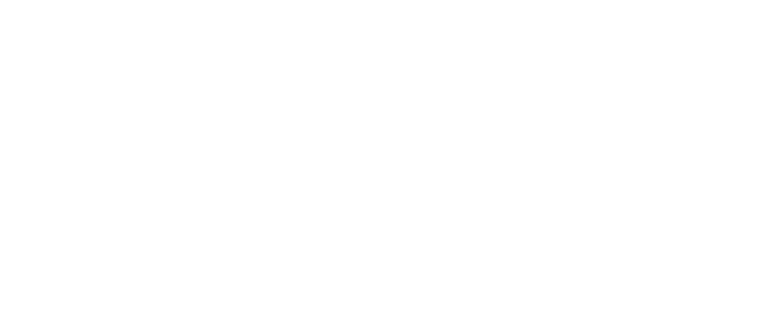 Leos Flytteservice